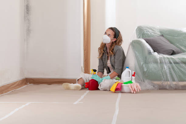 Reliable Crawl Space Mold Removal contractor in Shelbyville, TN by WQB Mold Removal